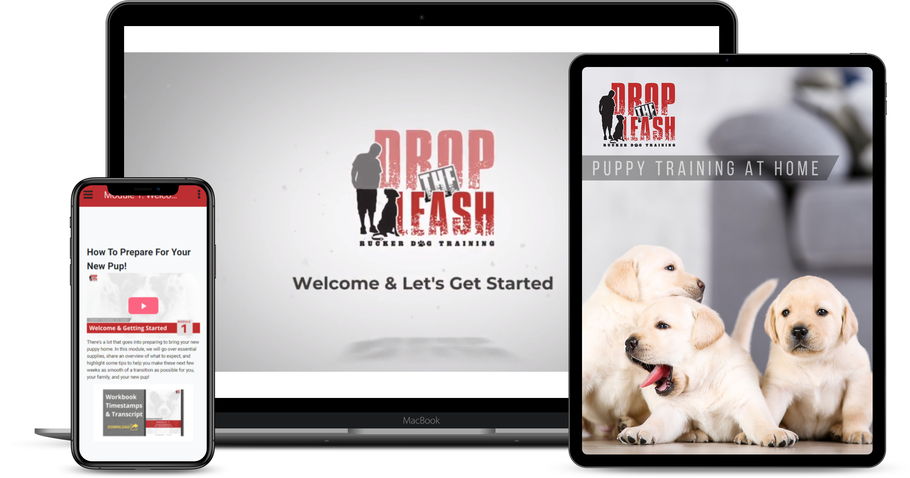 Rucker sales dog training
